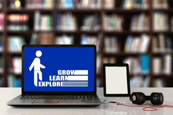 Elfqrin: Exploring the Tools, Uses, and Ethical Considerations in the Digital World
