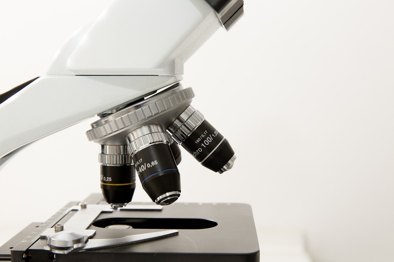 Doctorhub360.com Neurological Diseases – A Gateway to Understanding Brain and Nerve Disorders
