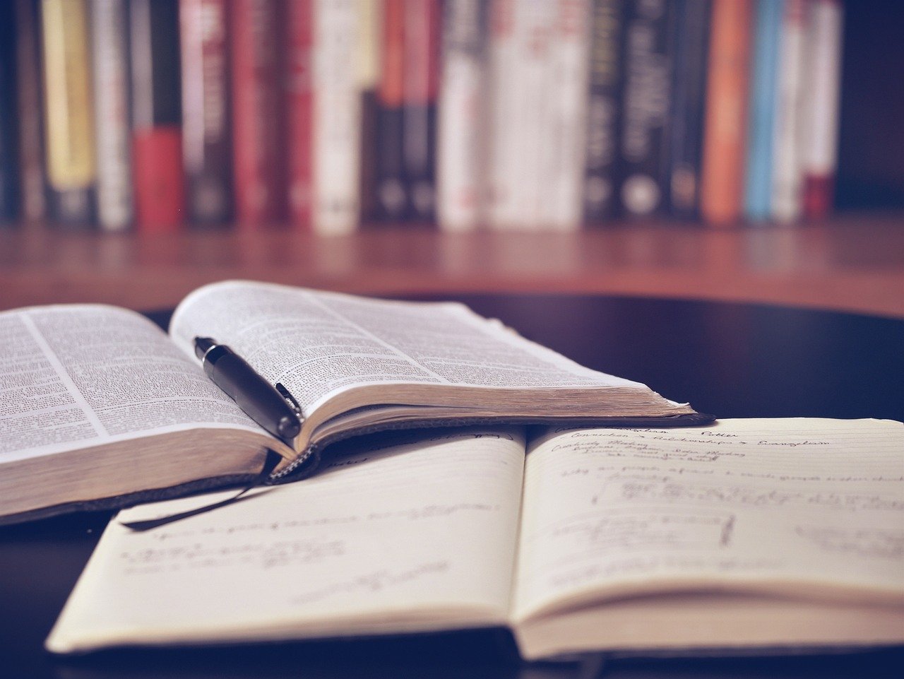 Learning Made Easy with Mixmoz.com’s Curated Educational Content for All Ages